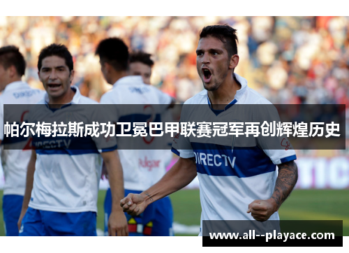 帕尔梅拉斯成功卫冕巴甲联赛冠军再创辉煌历史 
