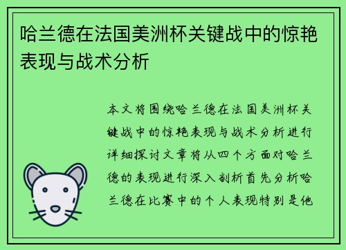 哈兰德在法国美洲杯关键战中的惊艳表现与战术分析