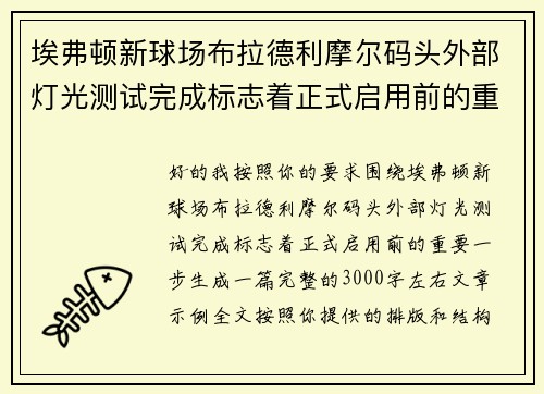 埃弗顿新球场布拉德利摩尔码头外部灯光测试完成标志着正式启用前的重要一步