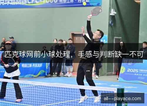 匹克球网前小球处理，手感与判断缺一不可